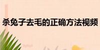 殺兔子去毛的正確方法視頻(殺兔子的方法)