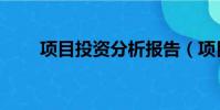 項目投資分析報告(項目投資分析)