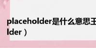 placeholder是什么意思王者榮耀(placeholder)