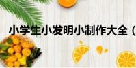 小學生小發明小制作大全(小學生小發明)