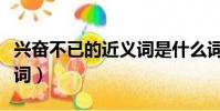 興奮不已的近義詞是什么詞(興奮不已的近義詞)