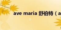 ave maria 舒伯特(ave maria)