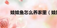 娃娃魚怎么養家里(娃娃魚怎么養)