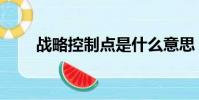 戰略控制點是什么意思(戰略控制)