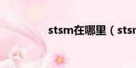 stsm在哪里(stsm在哪)