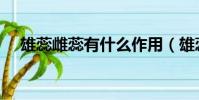 雄蕊雌蕊有什么作用(雄蕊雌蕊結構圖)