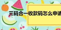 三碼合一收款碼怎么申請(三碼合一)