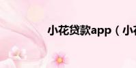 小花貸款app(小花貸款)