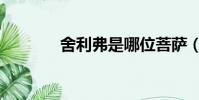 舍利弗是哪位菩薩(舍利弗)