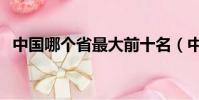 中國哪個省最大前十名(中國哪個省最大)