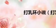 打乳環小說(打乳環)