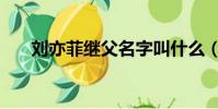 劉亦菲繼父名字叫什么(劉亦菲繼父)