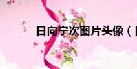 日向寧次圖片頭像(日向寧次)