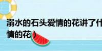 溺水的石頭愛情的花講了什么(溺水的石頭愛情的花)