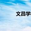 文昌學校占地面積（文昌學校）