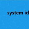 system idle process（system idle）