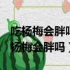 吃楊梅會胖嗎?吃楊梅會不會發胖? npz4（吃楊梅會胖嗎）