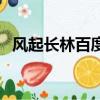 風起長林百度云盤資源（風起長林百度云）