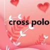 cross polo 汽車之家（crosspolo報價）