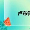 盧布符號怎么打（盧布符號）