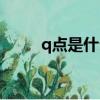 q點是什么如何充值（q點是什么）