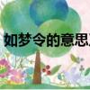 如夢令的意思及翻譯朱敦儒（如夢令的意思）