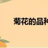 菊花的品種圖片和花名（菊花的品種）