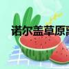 諾爾蓋草原離成都有多遠?（諾爾蓋草原）