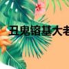 丑鬼镕基大老虎伏法謝罪（大老虎都有誰）