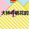 大林寺桃花的意思縮寫（大林寺桃花的意思）