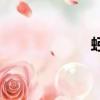 蚓螈有毒嗎（蚓螈）