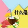 什么是程序文件（什么是程序）