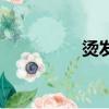 燙發紋理男（燙發紋理）