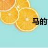 馬的古詩詞（馬的古詩句）