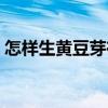 怎樣生黃豆芽在家竅門（怎樣生黃豆芽在家）
