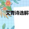 艾青詩選解析黎明（艾青詩選黎明賞析）
