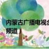 內蒙古廣播電視臺少兒頻道草原娃（內蒙古廣播電視臺少兒頻道）