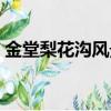 金堂梨花溝風景區介紹（金堂梨花溝風景區）