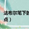 法布爾筆下的螞蟻有什么特點（螞蟻有什么特點）