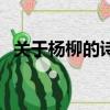 關于楊柳的詩句有哪些（關于楊柳的詩句）