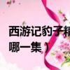 西游記豹子精是哪一集插曲（西游記豹子精是哪一集）