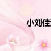 小劉佳演過的電視劇（小劉佳）