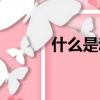 什么是動車候補（什么是動車）