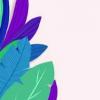 花葵花（花葵）