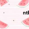 ntleas怎么用（ntlea）