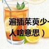 遍插茱萸少一人啥意思 古詩（遍插茱萸少一人啥意思）