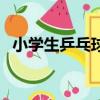 小學生乒乓球拍怎么選（乒乓球拍怎么選）