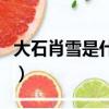 大石肖雪是什么小說（大石肖雪全文免費閱讀）