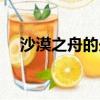 沙漠之舟的舟指什么（沙漠之舟的意思）
