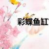 彩蝶魚缸官網電話（彩蝶魚缸官網）
